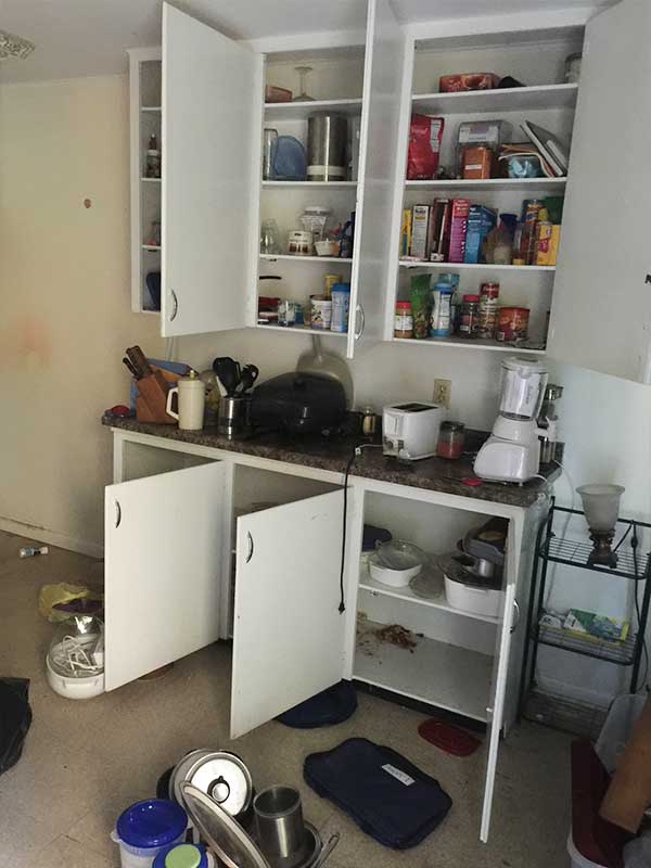junk-removal-holland