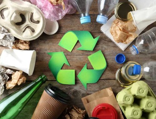 Stay on Schedule with our 2025 Recycling Calendar